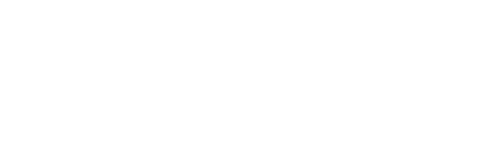 White Rose Beauty